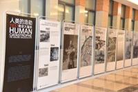 铭记历史 捍卫和平——我校AP班开展“行前教育”组织观看《南京大屠杀史实展》