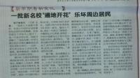 一批新名校“遍地开花”乐坏周边居民