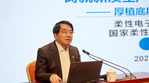 铸就新质生产力，造柔性电子强国 ——厚植底层技术，孵化未来产业