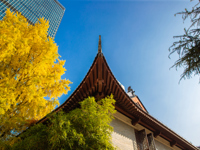 全国最高分！我校NOIP获奖人数刷新历史新高！