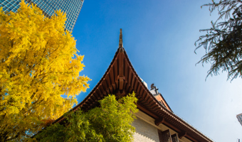 全国最高分！我校NOIP获奖人数刷新历史新高！