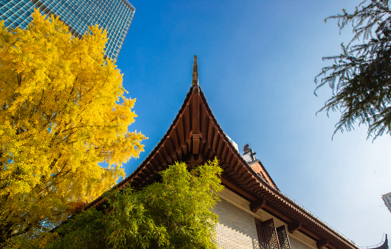 全国最高分！我校NOIP获奖人数刷新历史新高！